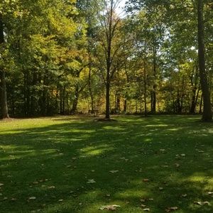 Meet your Posher, Tonya